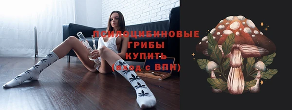 гашиш Дмитриев