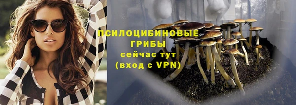 MDMA Дмитровск